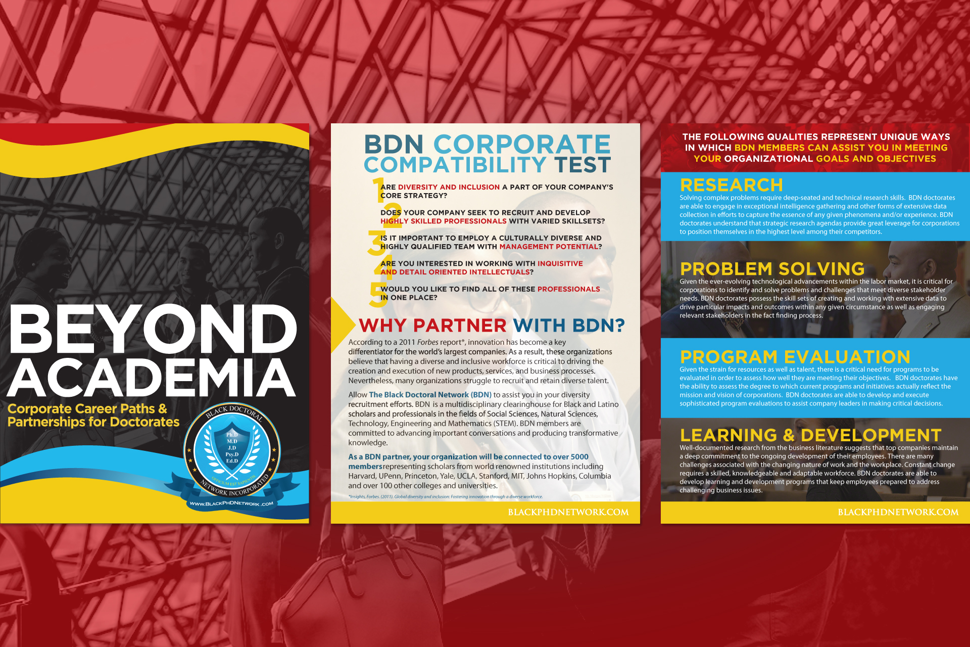Black Doctoral Network Brochure